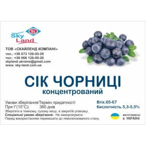 Концентрированный сок черники (65-67 Briх) кислотность 5,3-5,5% 1кг Концентрированный сок черники (65-67 Briх) кислотность 5,3-5,5% 1кг